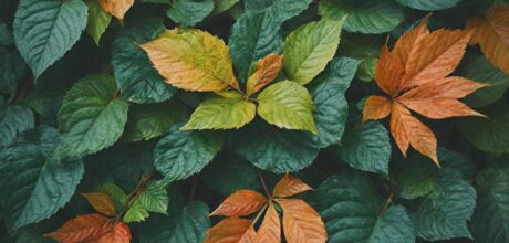 Como Aplicar Licenças Remuneradas de Forma Eficiente nas Empresas