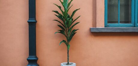 Como se Preparar para o Mercado de Trabalho Após a Faculdade: Dicas Práticas e Estratégias