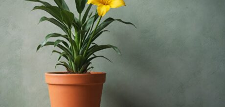 Guia Completo sobre Direitos Trabalhistas no Brasil: O Que Todo Trabalhador Precisa Saber