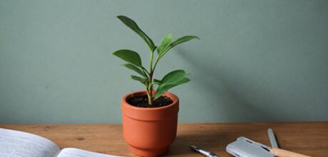 Entenda a Legislação do Contrato de Trabalho em Tempo Parcial no Brasil