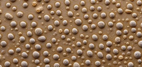 Biologia do Sourdough: Leveduras Selvagens e Seus Segredos
